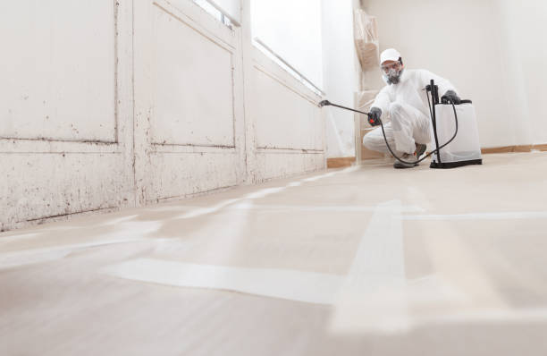 24/7 Emergency Commercial Mold Remediation experts in Bordentown, NJ