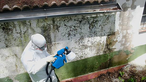 Top rated local Commercial Mold Remediation specialists in Bordentown, NJ